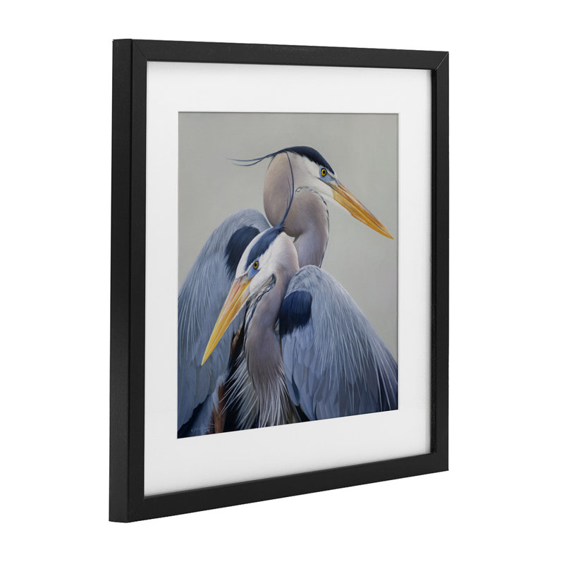 «Elegant Heron Twins», reproduction encadrée sous verre, conception de James Corwin, H 13 po x l 13 po, Cadre noir minuit