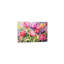 No Frame Print on Canvas