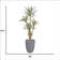 93.1'' Faux Agave Tree in Pot