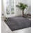 Nourison OCEAN 2' x 3' Sand Modern Indoor Rug