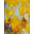 Wrapped Canvas is unavailable