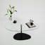 Glorias Coffee Table-106668493-106668494