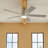 Lucian 60'' Ceiling Fan with LED Lights-715556960