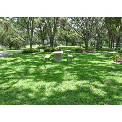 Outdoor Bench