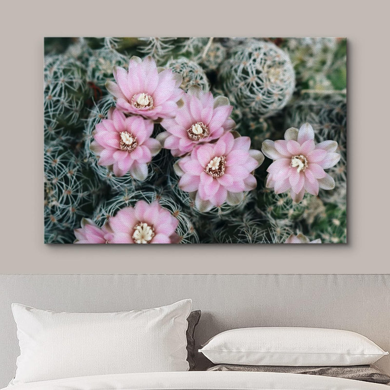 Cactus Desert Desert Southwest Ball Cactus rose sur, H 32 po x l 48 po