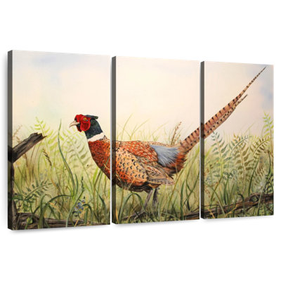 Brampt Glorious Pheasant