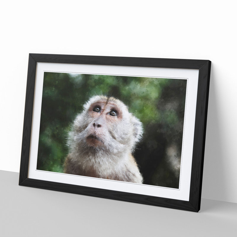 Macaque Monkey - Framed Print, 48cm H x 65cm W x 2cm D, Black Framed