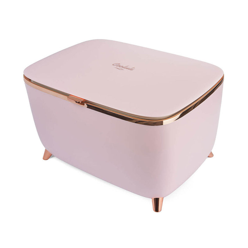 Compact Pink Matte Mini Skincare Fridge with Metallic Accents