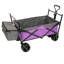 Chariot pliable de 480 lb avec auvent-113981194