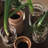 Neck Vase-127664476-127664478