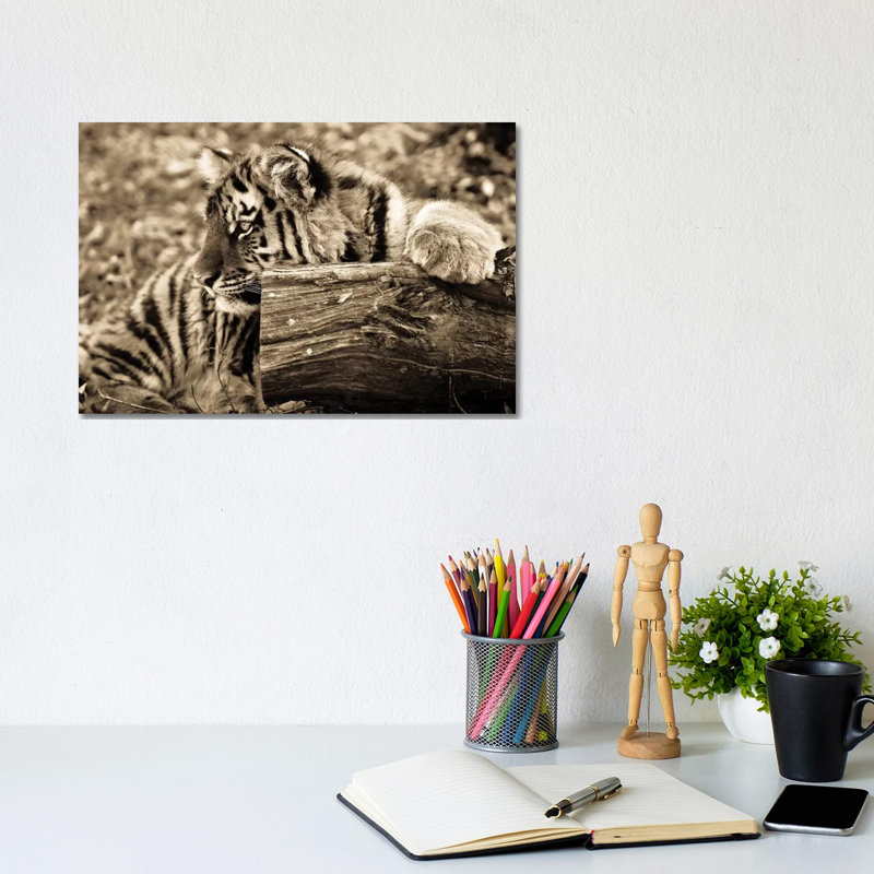 Tiger Baby by Goran Anastasovski - Wrapped Canvas Print, 20.32 cm H x 30.48 cm W