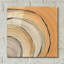 «Gilded Rings» par Chris Paschke-1449427218