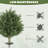 24" Artificial Cypress Trees with Ground Stake, Set of 2, Green