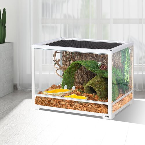 OiiBO 24'' x 18'' x 18'' Reptile Terrarium & Reviews | Wayfair