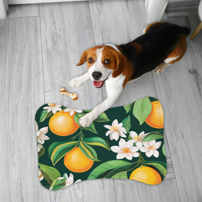Bold Fruit Art - 1 Piece Bone Shape Feeding Mat