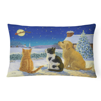 Outdoor Throw Pillow