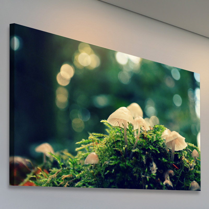 Nonsense 1 Piece Wrapped Canvas Wall Art, 101cm H x 152cm W