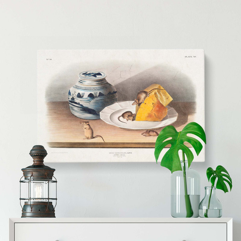 Mice by J.W. Audubon - Wrapped Canvas, 40cm H x 60cm W x 3cm D