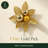  7" Artificial Gold Poinsettia Christmas Picks with Ornament Balls-936266090