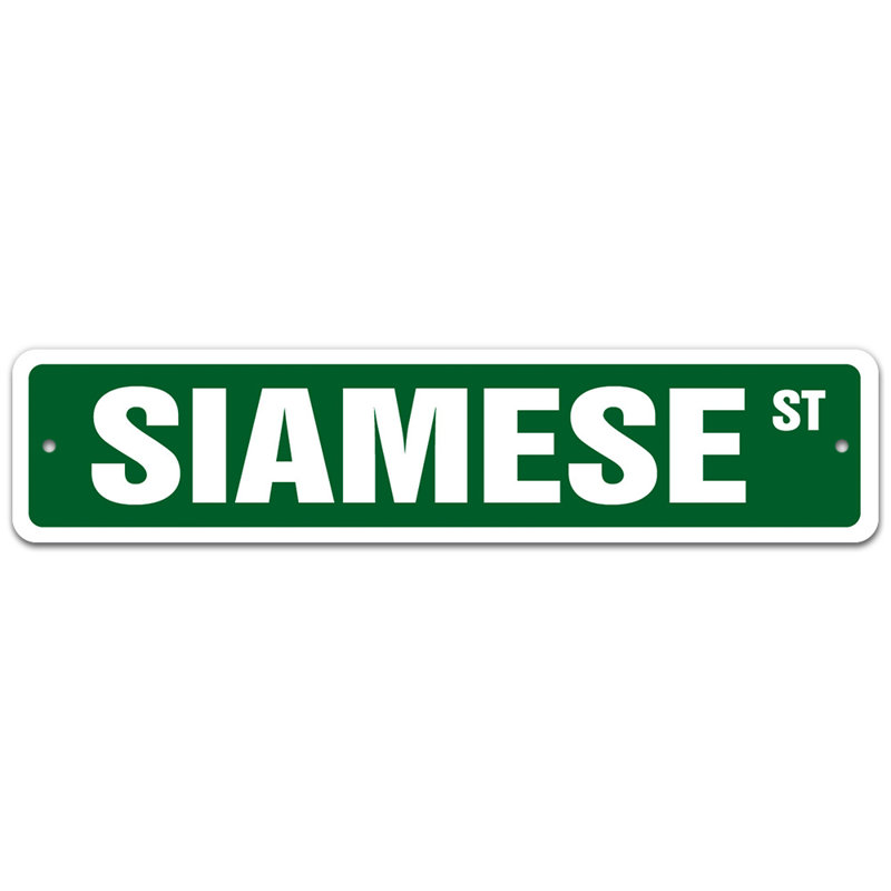 Plaque de rue, H 6 po x l 24 po x P 0,1 po