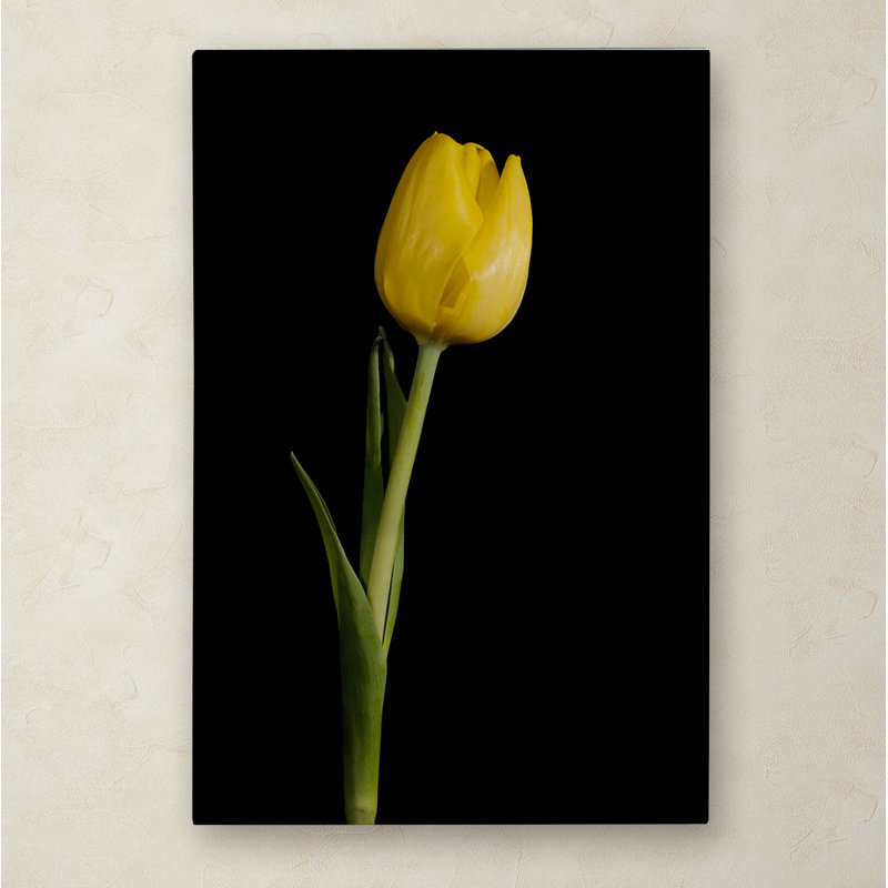 Reproduction de photo sur toile tendue Keona, H 24 po x l 16 po x P 2 po