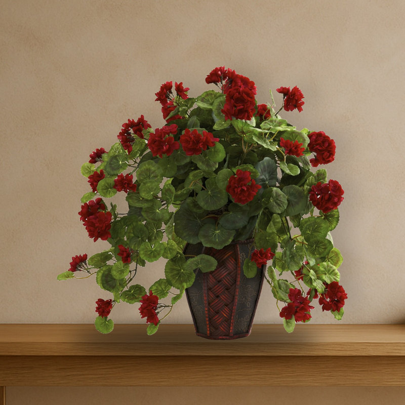 Géranium avec pot de fleurs décoratif