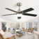 Derick 52'' 5-Blade Modern Ceiling Fan with LED Light and Remote Control