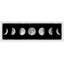 " Moon Transform "-661752549