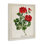 «Vivid Red Geranium Blossoms», art mural par Danielle Murray