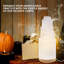 Lampe en cristal de sélénite Cassidi 25 cm, cristaux spirituels pour la décoration de chambre à coucher (certifié ETL)-456465952
