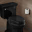 Hyten Elevated Quiet-Close Elongated Toilet Seat-114555008