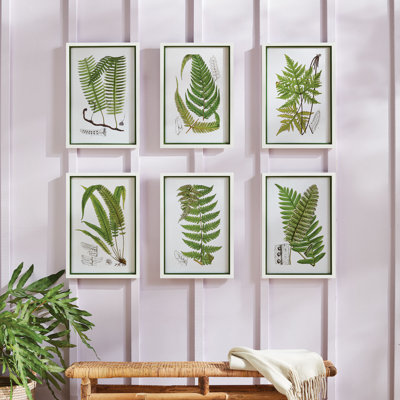 Sannois Layered Fern Prints, Set of 6