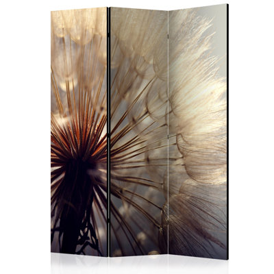 Olvera Solid Wood Folding Room Divider