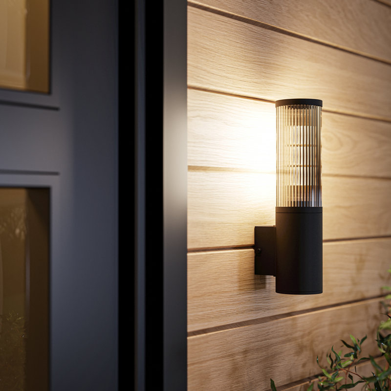 Lessie Matte Black 31cm H Frosted Glass Outdoor Sconce