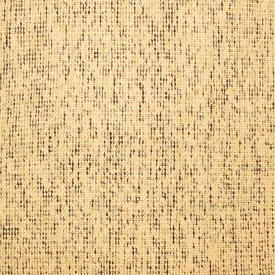 Indoor Rug