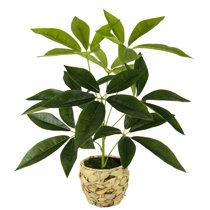 Kmise 4ST Künstliche Pflanzen im Topf, Kleine Kunstpflanze Eukalyptus  Sukkulenten Rosmarin Plastikpflanzen wie Echt, Mini Fake Pflanzen für  Badzimmer