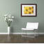 « yellow cape marguerites », reproduction de photo sur toile-32708572-32708576