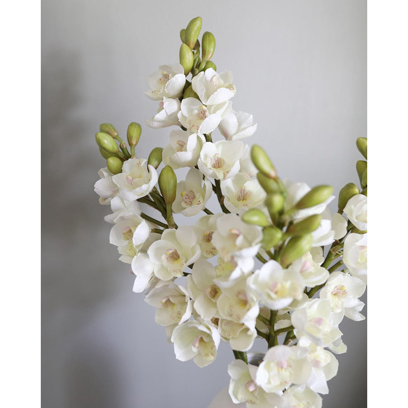 Cream Cymbidium Orchid 33", Cream