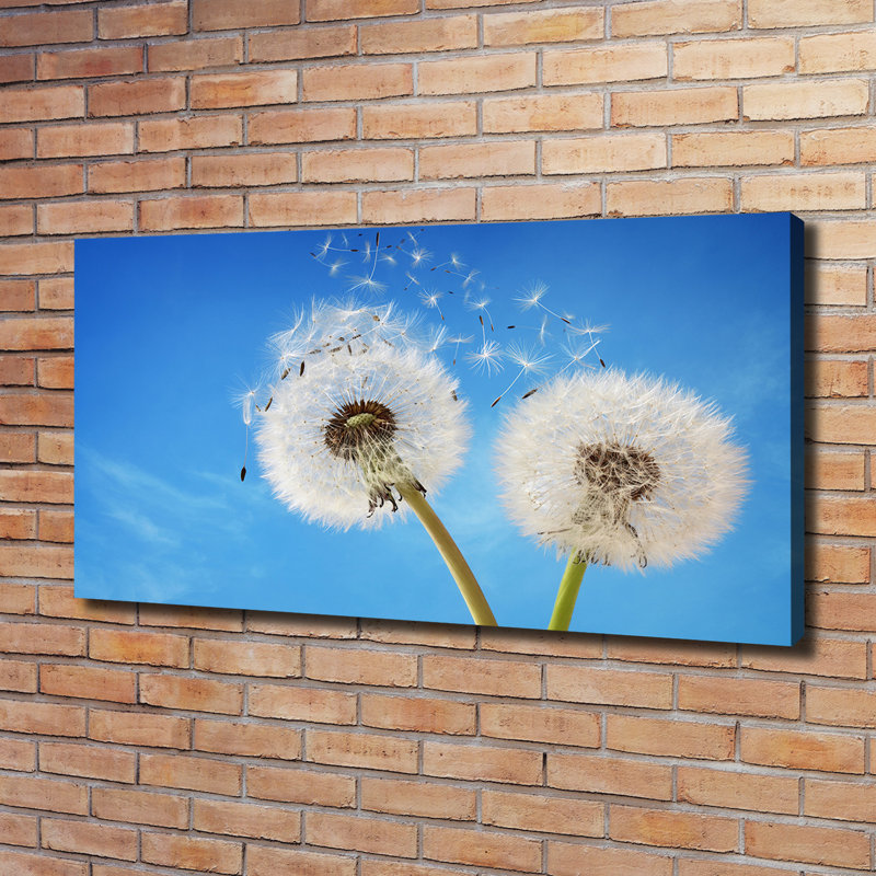 Dandelions - Wrapped Canvas Print