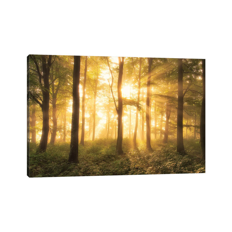 It's Nice To Love....... by Leif Londal - Wrapped Canvas Gallery-Wrapped Canvas Giclée, 66.04 cm H x 45.72 cm W x 1.91 cm D