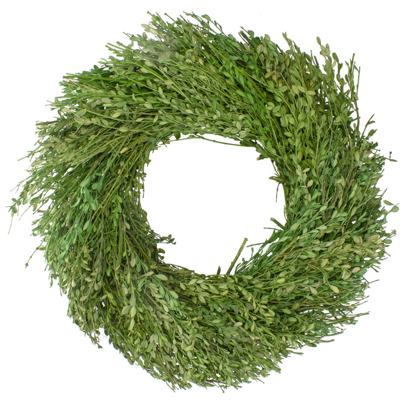Green Foliage Artificial Spring Wreath 20-Inch