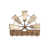 Antique White