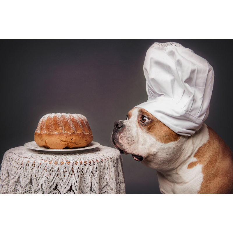Wrapped Canvas Print, 50.8 cm H x 76.2 cm W