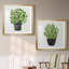 «Herb Garden I», ensemble de 2 reproductions d'art-118507611-118507610-118507607
