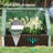 49.25" W x 37.5" D Mini Greenhouse-93618836