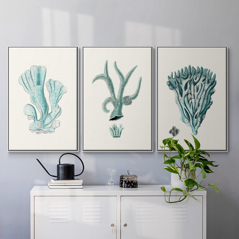 Antique Coastal Coral X, impression sur toile 3 pièces, H 27 po x l 54 po x P 2 po, Blanc