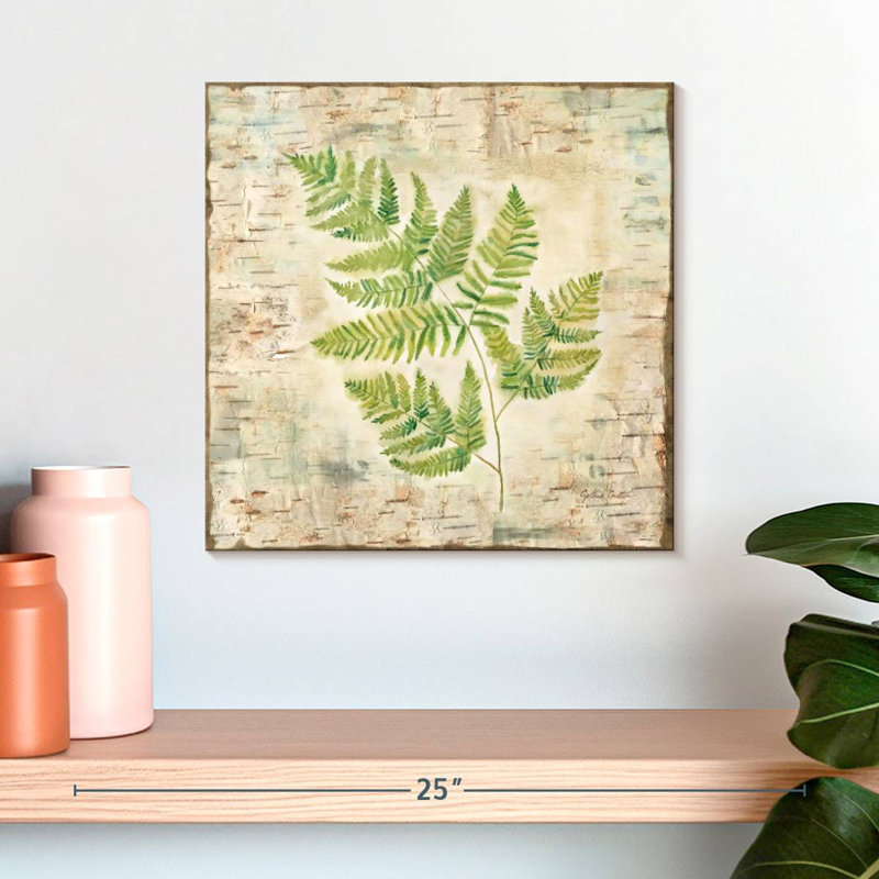 Harnek Birch Bark Ferns II, H 16 po x l 16 po