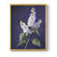 FLORAL Series CCXXXIV  -Premium Framed Print -Ready to Hang - No Nails Required