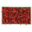 Glitter Poinsettia, 9.5 Inches-1617884457