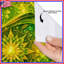 Rideaux de douche complexes extra-longs Mandala-262238390